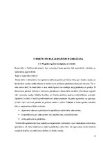 Prakses atskaite 'Atskaite par "Rimi"', 17.