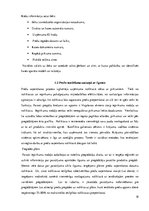 Prakses atskaite 'Atskaite par "Rimi"', 18.