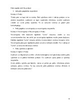 Prakses atskaite 'Atskaite par "Rimi"', 19.