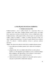 Prakses atskaite 'Atskaite par "Rimi"', 28.