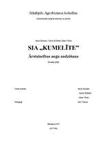 Biznesa plāns 'SIA "Kumelīte"', 1.