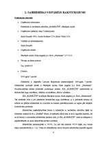 Biznesa plāns 'SIA "Kumelīte"', 4.