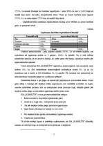 Biznesa plāns 'SIA "Kumelīte"', 5.