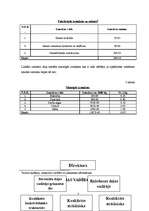 Biznesa plāns 'SIA "Kumelīte"', 7.