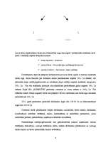 Biznesa plāns 'SIA "Kumelīte"', 8.