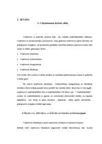 Referāts 'SIA dibināšana, funkcionēšana, reorganizācija un likvidācija', 2.