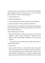 Referāts 'SIA dibināšana, funkcionēšana, reorganizācija un likvidācija', 8.