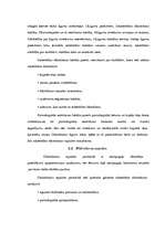 Referāts 'SIA dibināšana, funkcionēšana, reorganizācija un likvidācija', 10.