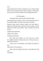 Referāts 'SIA dibināšana, funkcionēšana, reorganizācija un likvidācija', 14.