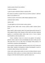 Referāts 'SIA dibināšana, funkcionēšana, reorganizācija un likvidācija', 17.