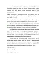 Referāts 'SIA dibināšana, funkcionēšana, reorganizācija un likvidācija', 19.