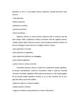 Referāts 'SIA dibināšana, funkcionēšana, reorganizācija un likvidācija', 25.