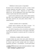 Referāts 'SIA dibināšana, funkcionēšana, reorganizācija un likvidācija', 29.