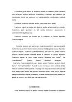 Referāts 'SIA dibināšana, funkcionēšana, reorganizācija un likvidācija', 36.