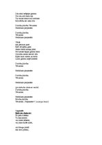 Konspekts 'Pasākuma organizācija un metodika - scenārija plāns un literārais scenārijs', 13.