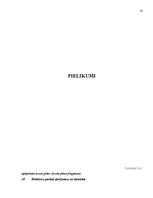 Prakses atskaite 'Semestra prakses atskaite AS "PrivatBank"', 14.