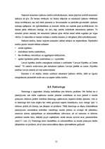 Referāts 'Banku kredītpolitika Latvijā', 22.