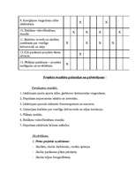 Konspekts 'Stājas korekcijas projekts', 5.