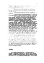 Referāts 'Gaismēnas reālisma glezniecībā un to attēlošanas paņēmieni', 15.