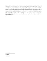 Eseja 'Lielvara, starptautiskās tiesības, civillikums un krimināllikums', 3.