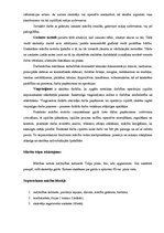 Konspekts 'Vienas nodarbības izvērsts konspekts 9.klasei mājturībā', 2.