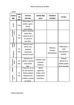 Konspekts 'Vienas nodarbības izvērsts konspekts 9.klasei mājturībā', 3.