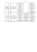 Konspekts 'Vienas nodarbības izvērsts konspekts 9.klasei mājturībā', 4.