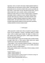 Referāts 'Sociālās grupas', 4.