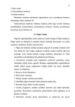 Referāts 'Peļņa un tās rādītāji', 21.