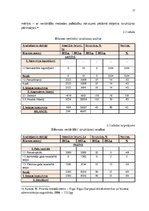 Referāts 'Uzņēmuma finanšu stabilitātes analīze', 17.