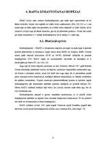 Referāts 'Rapša audzēšana Latvijā', 13.