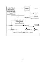 Referāts 'Rapša audzēšana Latvijā', 14.