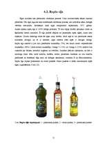 Referāts 'Rapša audzēšana Latvijā', 15.