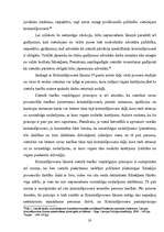 Diplomdarbs 'Cietušais pirmstiesas kriminālprocesā', 20.