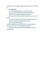 Eseja 'Narkotiku tirgus ietekme uz Dienvidamerikas reģionu', 7.