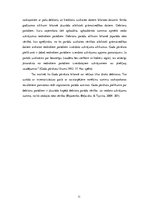 Prakses atskaite 'Debitoru uzskaite un analīze SIA "X"', 11.