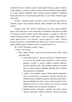 Prakses atskaite 'Debitoru uzskaite un analīze SIA "X"', 14.