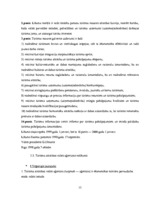 Prakses atskaite 'A/s viesnīca "Latvija"', 15.
