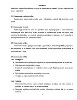 Biznesa plāns 'Biznesa plāns', 3.