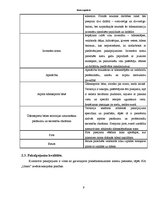 Biznesa plāns 'Biznesa plāns', 6.