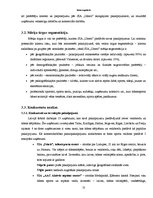 Biznesa plāns 'Biznesa plāns', 10.