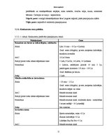 Biznesa plāns 'Biznesa plāns', 12.