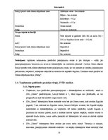 Biznesa plāns 'Biznesa plāns', 13.