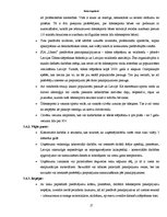 Biznesa plāns 'Biznesa plāns', 14.