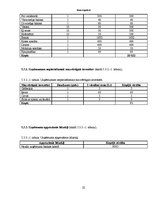 Biznesa plāns 'Biznesa plāns', 19.