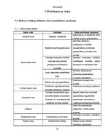 Biznesa plāns 'Biznesa plāns', 23.