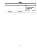 Biznesa plāns 'Biznesa plāns', 24.