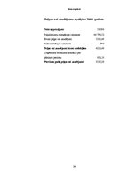 Biznesa plāns 'Biznesa plāns', 31.