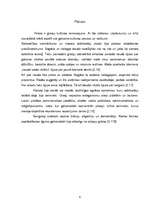 Referāts 'Senā Grieķija', 8.