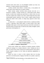 Diplomdarbs 'Patērētāju tiesību aizsardzība un tās problēmas Latvijā', 11.